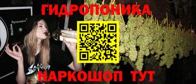 a pvp Чебаркуль